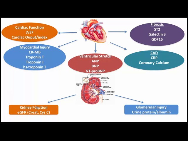 Machine Learning-Enhanced Clinical Diagnostic Solutions for Diabetic Kidney Disease