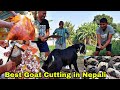 Best Goats Cutting in Nepal 🇳🇵 / dashain tihar special goat Cutting / goats cutting / khasi cutting