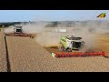 Getreideernte 2021 Erntetechnik Innovation moderne Landwirtschaft Combine Harvester harvesting App