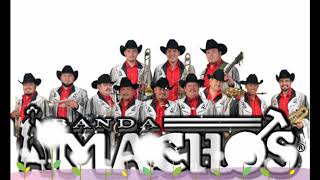 BANDA  MACHOS   MIX  ROMANTICAS