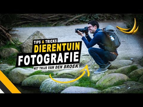 Video: Hoe Fotografeer Je Een Persoon?