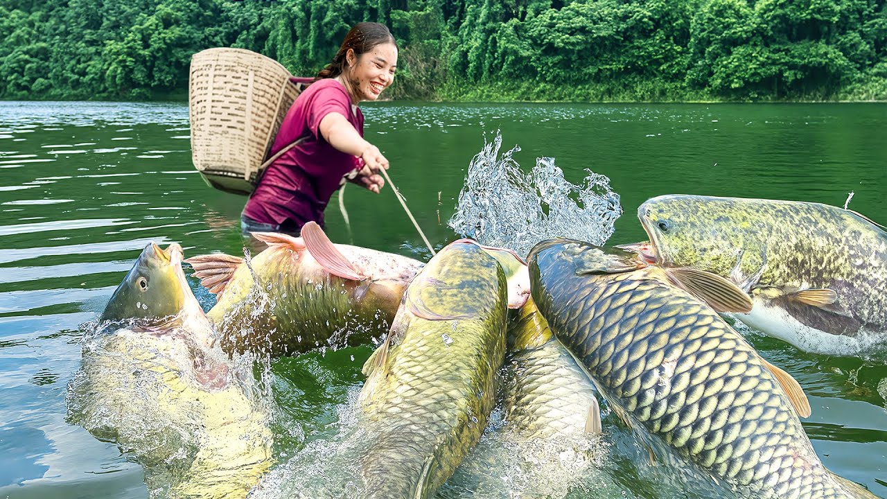 Hand-catching giant catfish, carp & snails in a giant fish pond to sell at the market with my family