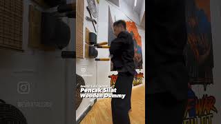Download Lagu Silat Wooden Dummy Training🔥 MP3
