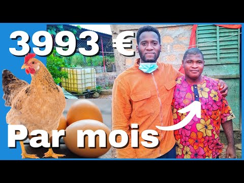 ?Visite de la ferme AVICOLE de Réné à FRIA  | Investir en Guinée
