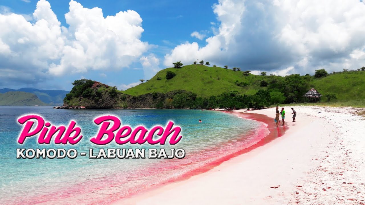 Pantai Pink  Beach  Pulau Komodo Labuan Bajo YouTube