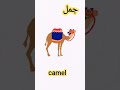 نطق كلمة جمل باللغة الإنجليزية نطق كلمة Camel