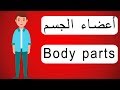 اعضاء الجسم بالانجليزي body parts | تعلم اللغة الانجليزية