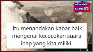 Download lagu TANDA-TANDA BURUNG WALET MENYUKAI SP DAN SI YANG DI PASANG