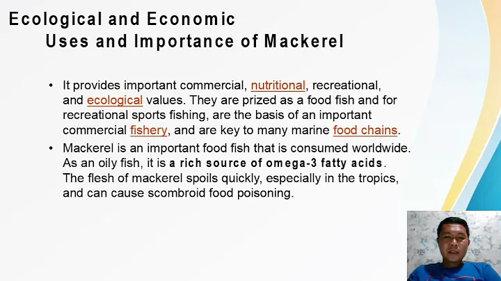 MACKEREL by Fuentes Jayson final 1