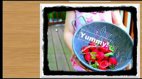 How to use  PicMonkey