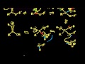 Acid-catalyzed ester hydrolysis | Organic chemistry | Khan Academy