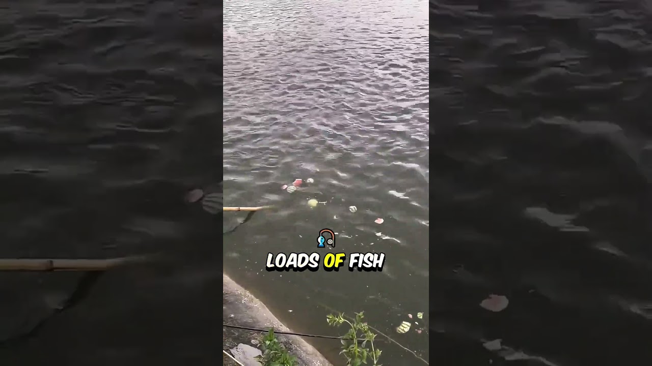 Amazing fishing technique 🥰