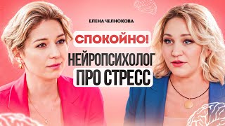 Доктор психологии: Страх. Тревога. Стресс. Как справиться? Елена Челнокова.