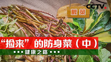 食 中 植物 歌詞