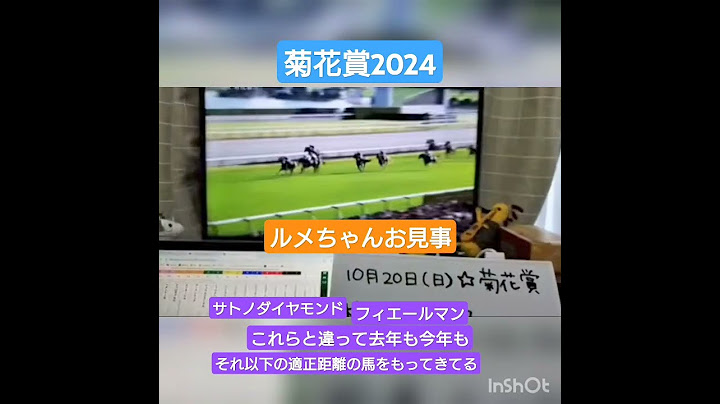 菊花賞2024🐴アーバンシック！ルメールには逆らえない