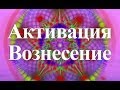 Янош. Активация Вознесение