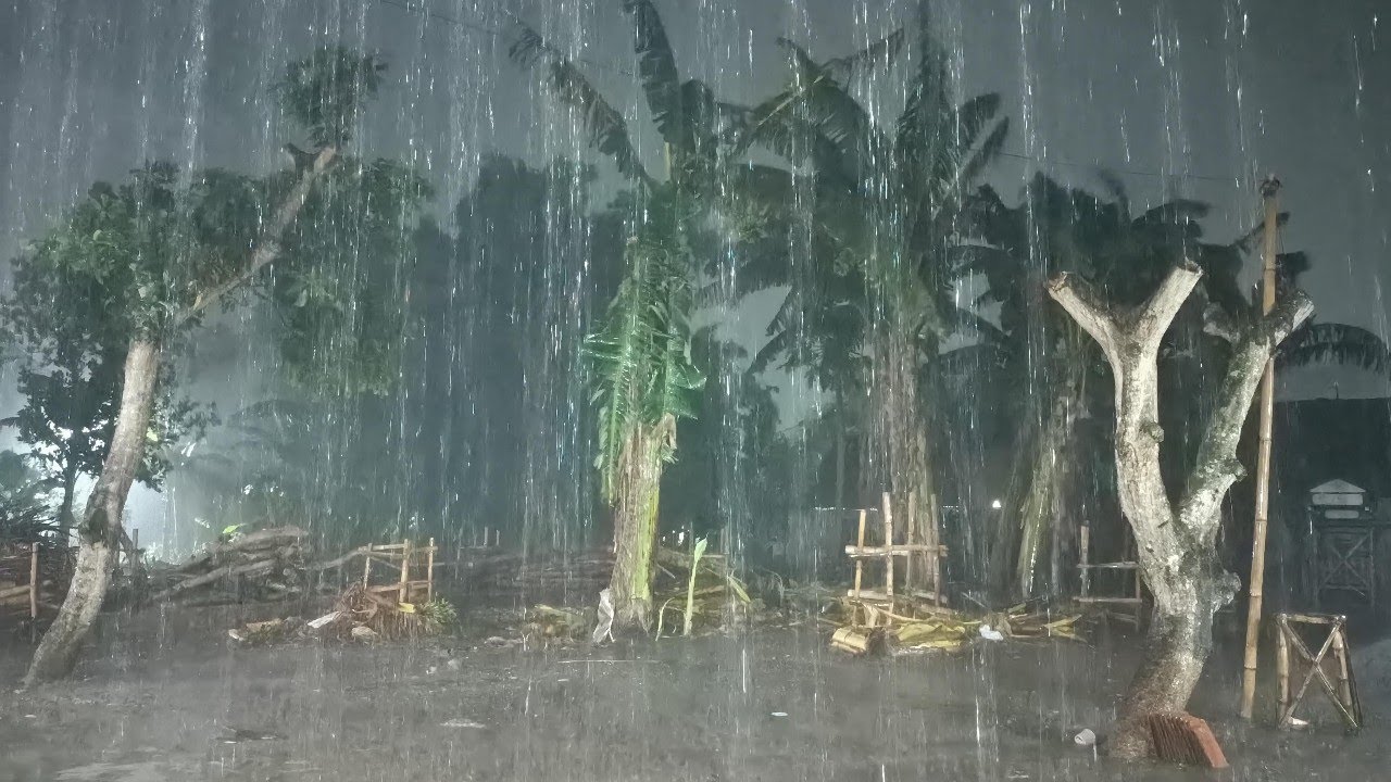 Walking in the Super Heavy rain Big Thunder in Red soil Village ...