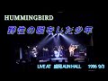 野性の眼をした少年 HUMMINGBIRD