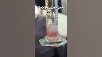 Isolation of DNA from onion #laboratory  #laboratorytechniques #lab #biotechnology #laboratorylife