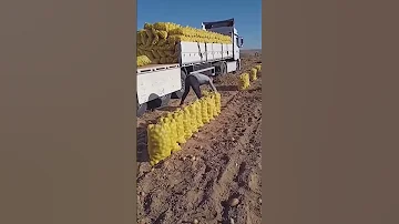 اسرع عامل بضائع لا يصدق 