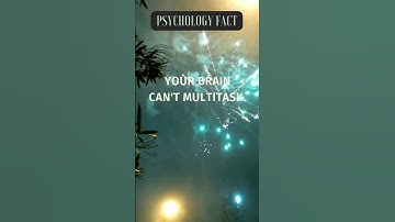 Multitasking Myth: Brain