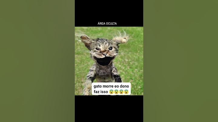 Gato mørre e dono faz isso #curiosidades #areaoculta #medo #terror #suspense #assustador #contos