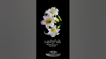 صباح الخير🍃صباح المسبحين🍃حالات واتس اب🍃 مقاطع قصيره🍃قرآن كريم سورة الأعلى🍃 عبد الرحمن مسعد🍃بدون حقوق