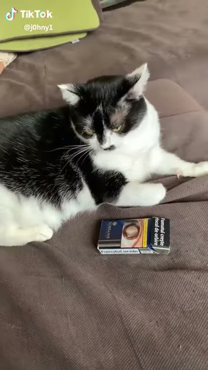 Ce faci mă 😂🤣😂😂🤣