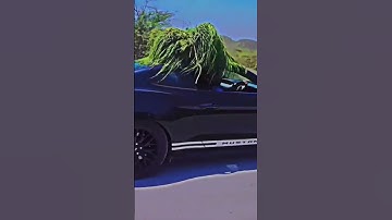 Indian Hacker attitude status #attitude #mrindianhacker @MRINDIANHACKER  #hacker #attitudestatus