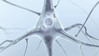 Neurons Building Blocks of Thinking