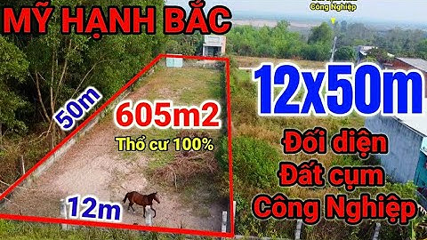 Đầu Năm Khai Lộc | Bán Lô Đất 12x50m Thổ Cư Tại Mỹ Hạnh Bắc Đức Hòa Chỉ 3 tỷ 300tr