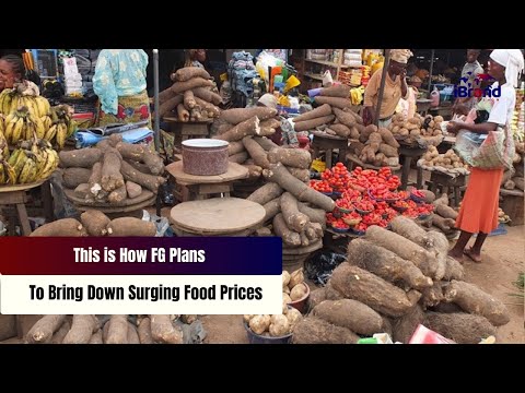 This is How FG Plans To Bring Down Surging Food Prices