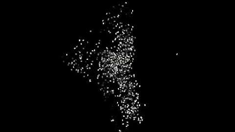 Livect Quad - Microsoft Kinect / Quartz Composer / Max 6