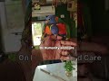 🌿 On Humanity and Care#birdparadise #birds #9040800218 #birds #viral #shortvideo