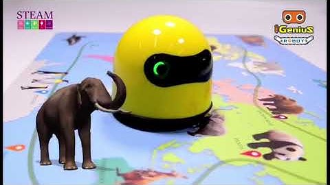 Robot Coding Unplugged