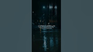 لَا تَدْرِي لَعَلَّ اللَّهَ يُحْدِثُ بَعْدَ ذَٰلِكَ أَمْرًا || القارئ شريف مصطفى