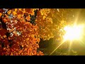 6 Hours of Relaxing Sleep Music: Soothing Piano Music, Fall Asleep Fast, Sleeping Music ?45