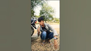 Oo Antava Oo Oo Antava#Kritikachannel#Shorts funny video