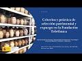 Criterios y práctica de selección patrimonial y expurgo en la Fundación Telefónica.