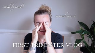 First trimester week by week VLOG recap with our double rainbow baby