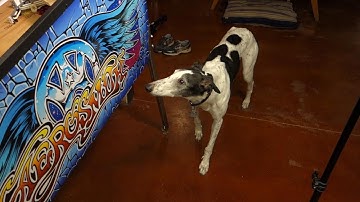 Building a custom pinball - 07 - playing a game