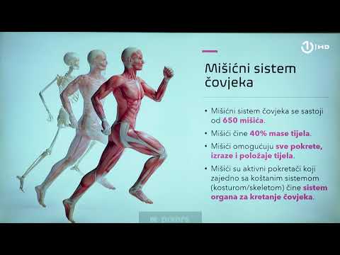 Video: Kako funkcioniše mišićno-koštani sistem?