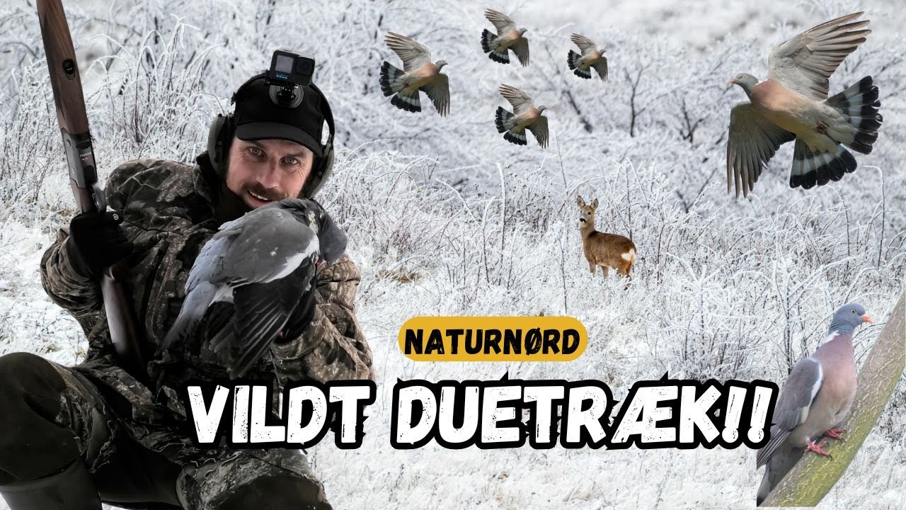 ÅRETS BEDSTE DUETRÆK !! + MØDE MED VÅBEN LEVERANDØR // NATURNØRD 713