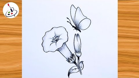 How to draw a Butterfly on Flower||Simple Pencil Sketch||Easy Drawing ideas for Beginners 