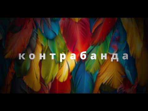 LUBABA - Контрабанда