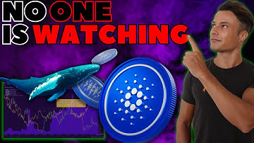 Hidden Statistics Showing Next HUGE CARDANO Moves - ADA Update