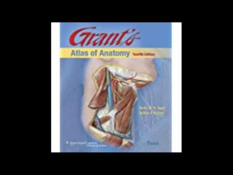 Grant's Atlas of Anatomy,  12th  Edition Grant, John Charles Boileau  Grant's Atlas of Anatomy