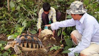 How To Make Leg Snare Trap || The Best Trap Leg Trap In Cambodia