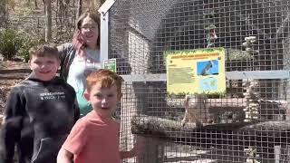 PIGEON FORGE - @ PARROT MOUNTAIN - SEE &amp; INTERACT -A Top 10 TOURIST ATTRACTION