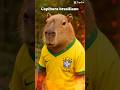Meme Capibara Brasiliano #capivara #capivarabrasileira 🇧🇷🏠￼￼🇮🇹￼